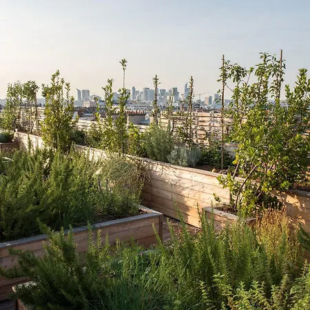 Brach - Evok Collection Parijs