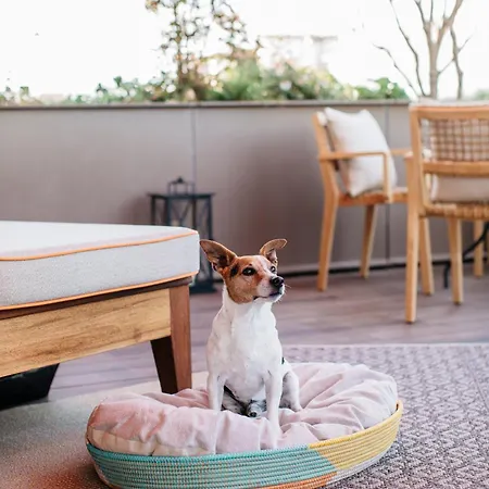 מלון Brach - Evok Collection