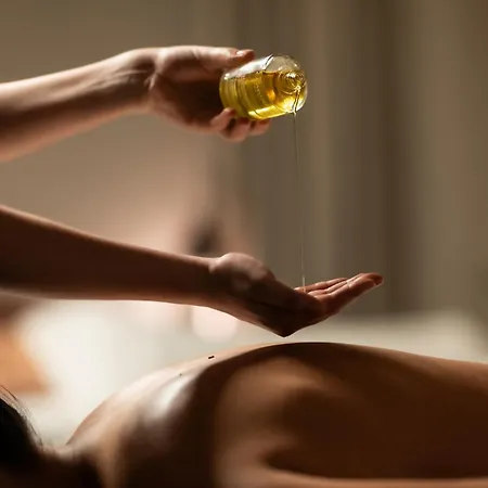 Brach - Evok Collection פריז