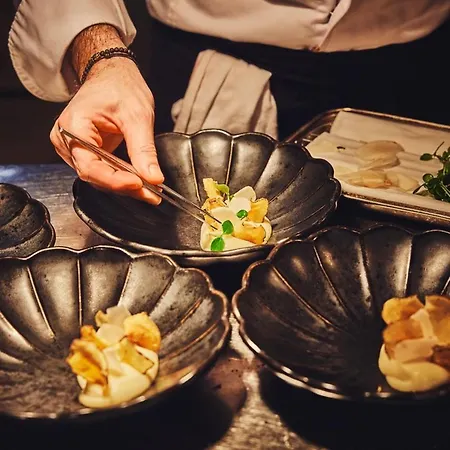 Brach - Evok Collection