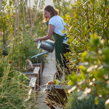 Brach - Evok Collection מלון