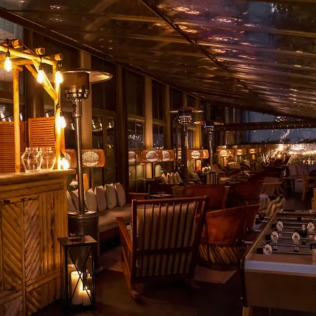 Brach - Evok Collection