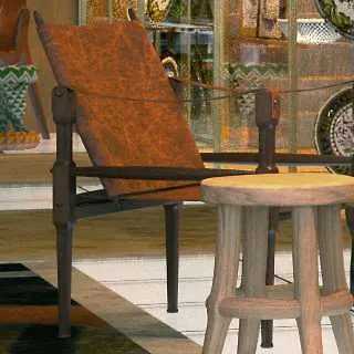 Brach - Evok Collection
