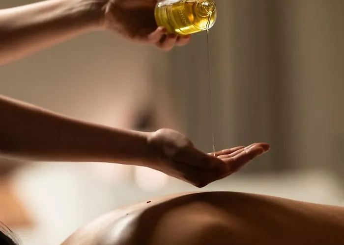 Brach - Evok Collection Parigi