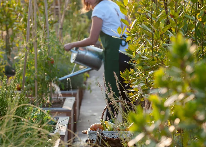 Brach - Evok Collection Hotel