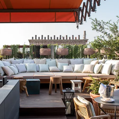 Brach - Evok Collection Paris