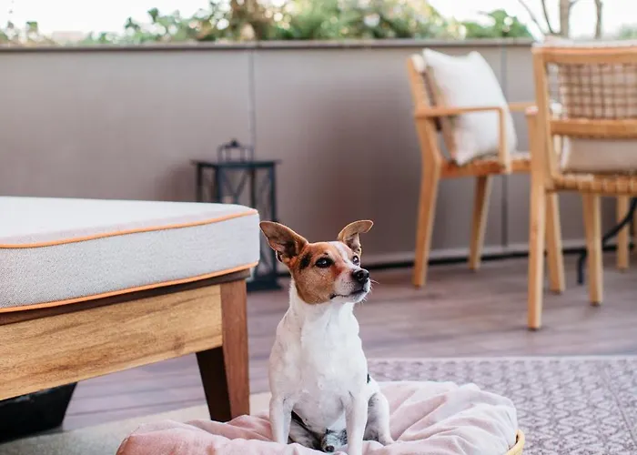 호텔 Brach - Evok Collection