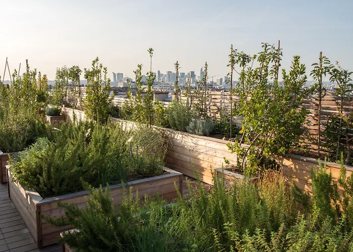 Brach - Evok Collection 파리